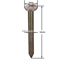스틸 서베이 네일(100mm)