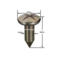 스틸 서베이 네일(30mm)